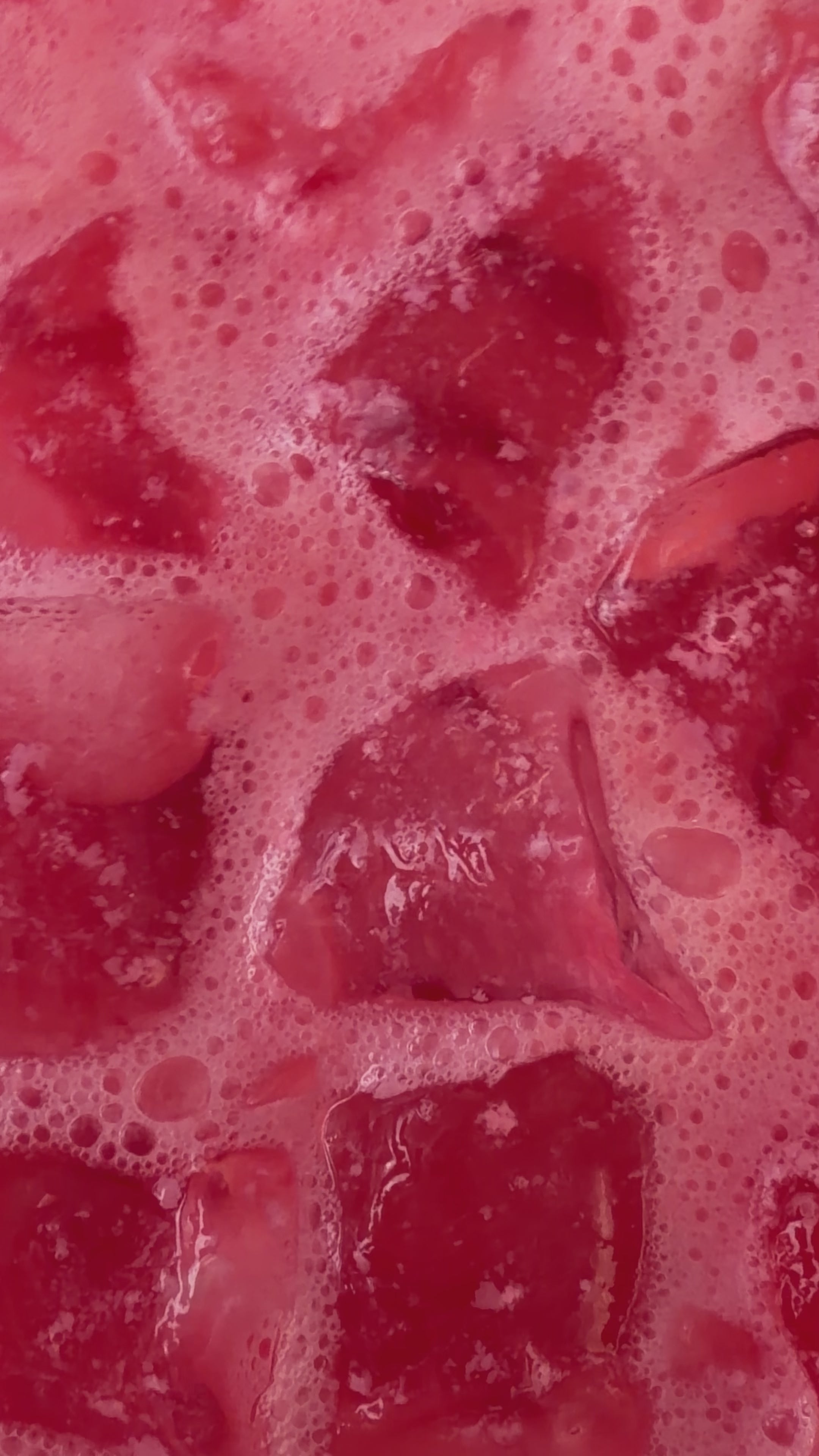 Pink Rebel